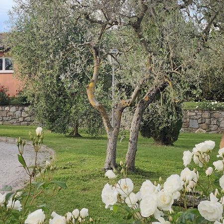 La Casa Delle Rose Vila Terranuova Bracciolini Exterior foto