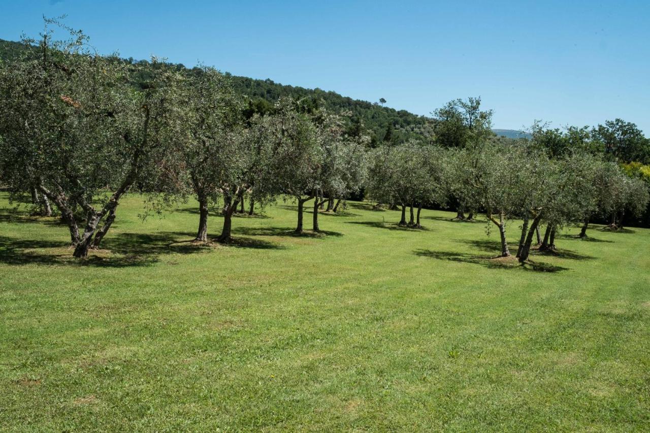 La Casa Delle Rose Vila Terranuova Bracciolini Exterior foto